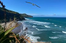 Black Sand Beaches & Birds Auckland Sightseeing Tour