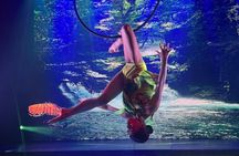 E-Tickets Emotions Dinner Live Show Admission