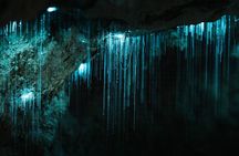 Northland Hidden Gems Glowworm Cave, Beach and Café Experience
