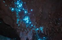 Northland Hidden Gems Glowworm Cave, Beach and Café Experience