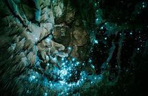 Northland Hidden Gems Glowworm Cave, Beach and Café Experience