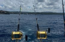 Private Deep Sea Fishing Adventure in Puerto Plata