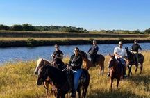 Guided Horseback Riding Adventure in Miami Countryside