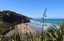 Black Sand Beaches & Birds Auckland Sightseeing Tour