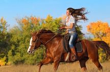 Guided Horseback Riding Adventure in Miami Countryside