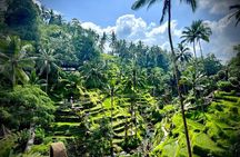 Ubud Zipline,Alas Harum and Waterfall Tour with Private Car, Bali