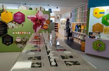 Taste Hawke's Bay - A Sweet treat food Tour