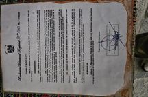Mayahuasca Experience in Cusco No Ritual No Show very Authentic