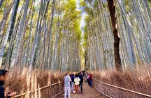 Private Day in Kyoto Customized Travel Experience in English