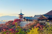 Private Day in Kyoto Customized Travel Experience in English