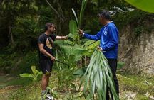 Phuket Ethical Elephant Sanctuary and Tree Planting Experience