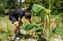 Phuket Ethical Elephant Sanctuary and Tree Planting Experience