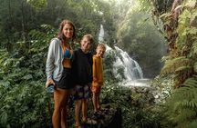 Private Hana Waterfall Jungle Hike Professional Photos Optional