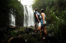 Private Hana Waterfall Jungle Hike Professional Photos Optional