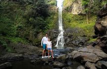 Private Hana Waterfall Jungle Hike Professional Photos Optional