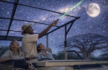 Baobab-Sunrise-Sunset-Vulture-Moonlight Safaris, 4 Options