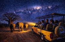 4x4 Stargazing and Moonlight Experience in the Bush
