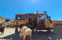 Guided Jeep Safari With Swimming And Snacks