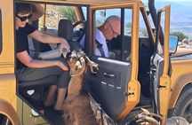 Guided Jeep Safari With Swimming And Snacks