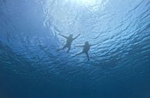 Half-Day Ishigaki Blue Cave Snorkel:Small Group&Beginner Friendly