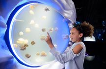 London Eye and SEA LIFE Aquarium Ticket