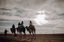 1h Quad + 1h Camel Ride + Dinner Show (Transport Included)