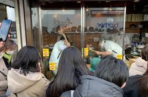 Nara Deer, Great Buddha & Traditional Mochi Experience