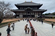Nara Deer, Great Buddha & Traditional Mochi Experience