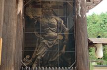 Nara Deer, Great Buddha & Traditional Mochi Experience