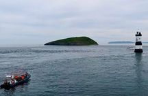 Conwy Puffin Island Wildlife Adventure