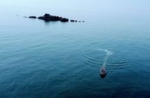 Conwy Puffin Island Wildlife Adventure
