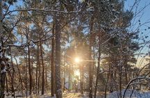 Malmøya Island Guided Hike in Oslo