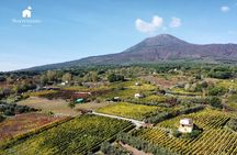 Wine Tasting&TOURS