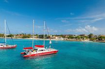 Aruba Morning Snorkeling or Sunset Sail to Boca Catalina With BBQ