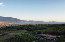 Wine Tasting&TOURS