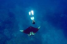 Private Tour in Caño Island