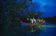 Mystical Nights Fireflies and Blue Tears Adventure Join in Tour
