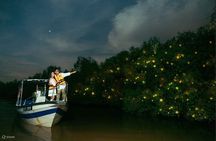 Mystical Nights Fireflies and Blue Tears Adventure Join in Tour