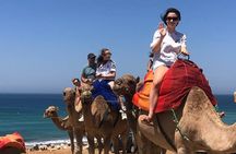 Tangier Highlights Cap Spartel Camel Ride and Hercules Cave