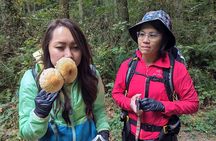 Intro to Seattle Mushroom Foraging