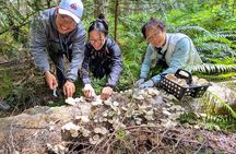 Intro to Seattle Mushroom Foraging