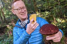 Intro to Seattle Mushroom Foraging