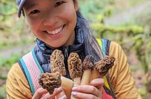 Intro to Seattle Mushroom Foraging