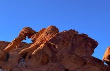 Valley of Fire Half Day Tour