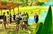 Island Survival Skills Training Adventure (4 Hours)