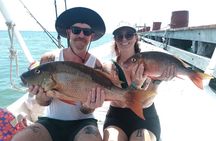 Boat Fishing Tour, Puerto Morelos CIPREA, 25'