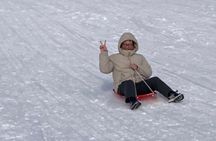 Nabana no Sato, Gozaisho Frozen Tree and Outlet Tour from Osaka