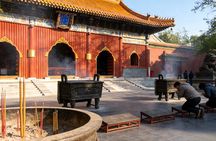 4-Hour Private Tour: Lama Temple, Confucius Temple, Guozijian Museum with Dim Sum