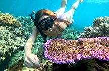 Snorkeling Blue Lagoon With lunch 