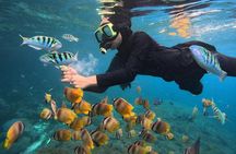 Snorkeling Blue Lagoon With lunch 